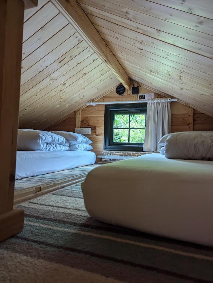 'Monktonmead Lodge' In Secluded Setting, With Private Indoor Pool. ไรด์ ภายนอก รูปภาพ